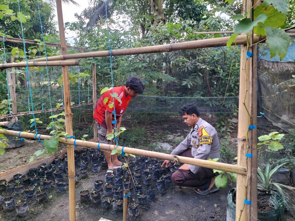 Dorong Ketahanan Pangan, Bhabinkamtibmas Polsek Walenrang Ajak Warga Manfaatkan Pekarangan