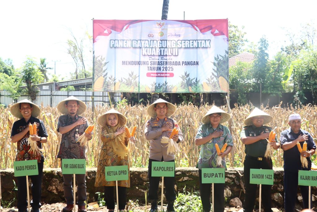 Dukung Swasembada Pangan Nasional, Kapolres Maros Pimpin Panen Raya Jagung Kuartal II
