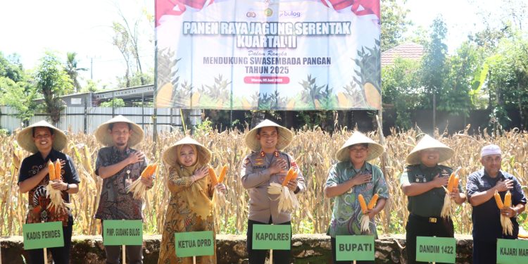 Dukung Swasembada Pangan Nasional, Kapolres Maros Pimpin Panen Raya Jagung Kuartal II