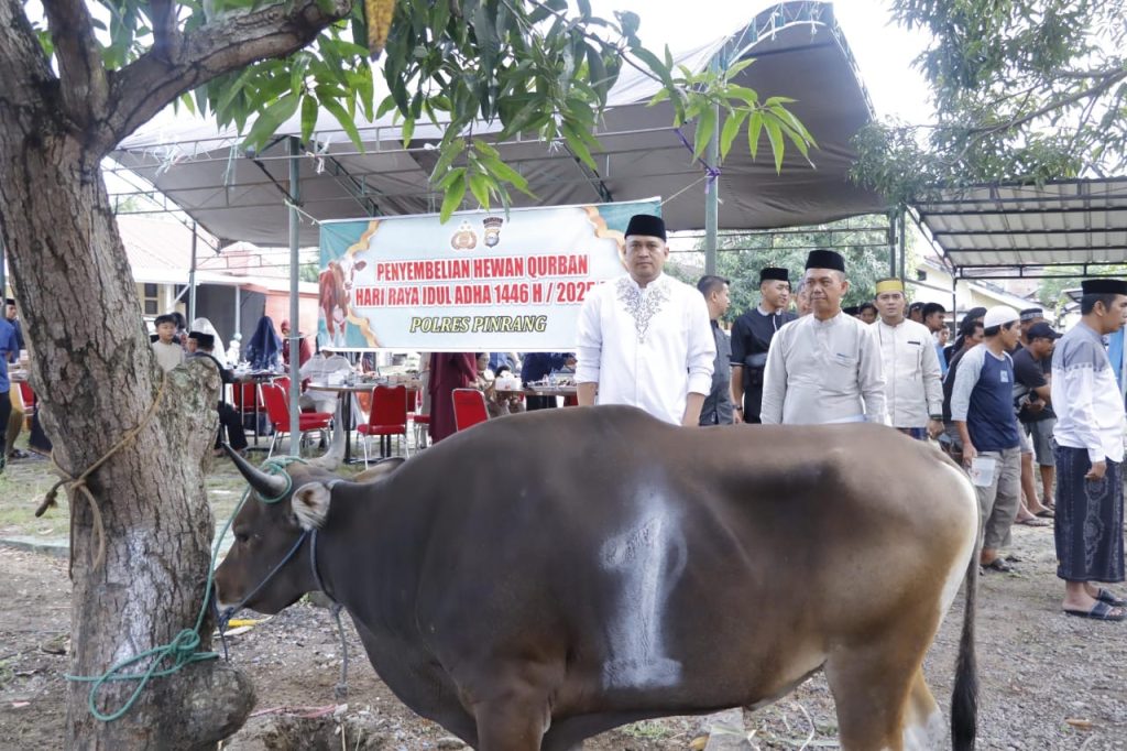 Kapolres Pinrang bersama Personel Kurban 17 Ekor Sapi di Hari Raya Idul Adha 1446 H