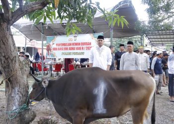 Kapolres Pinrang bersama Personel Kurban 17 Ekor Sapi di Hari Raya Idul Adha 1446 H