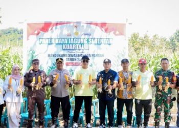 Kapolres Barru Pimpin Panen Raya Jagung Kuartal II di Soppeng Riaja