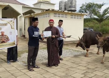 Kapolres Luwu Timur Serahkan Hewan Kurban Untuk Dibagikan ke Masyarakat