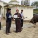 Kapolres Luwu Timur Serahkan Hewan Kurban Untuk Dibagikan ke Masyarakat