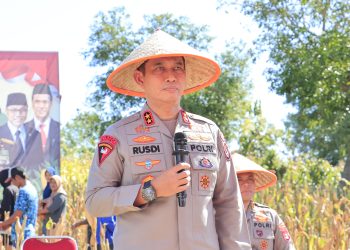 Kapolda Sulsel Berdialog Langsung Dengan Presiden Melalui Daring
