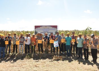 Kapolres Bulukumba Ikut Panen Jagung Serentak Yang Digelar Secara Nasional