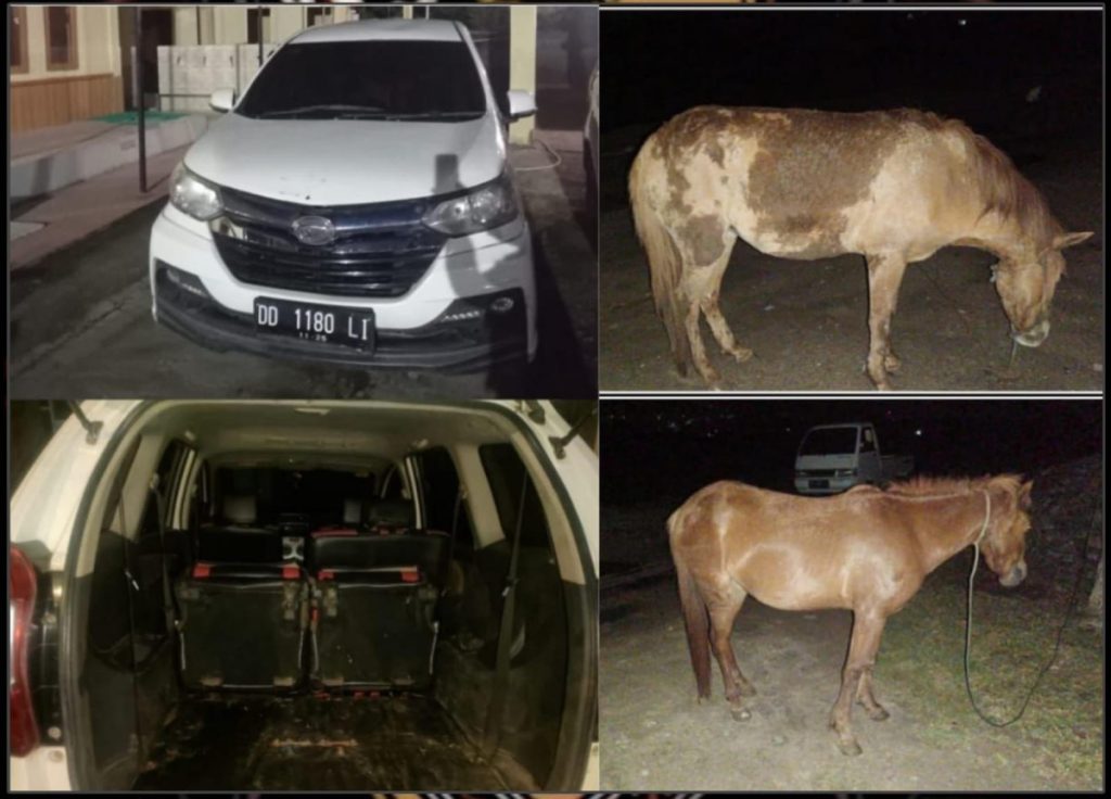 Tim Resmob Sat Reskrim Polres Bantaeng Tangkap 2 Pelaku Pencurian Kuda, 1 Dalam Pengejaran