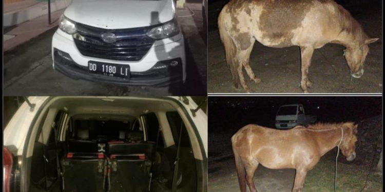 Tim Resmob Sat Reskrim Polres Bantaeng Tangkap 2 Pelaku Pencurian Kuda, 1 Dalam Pengejaran
