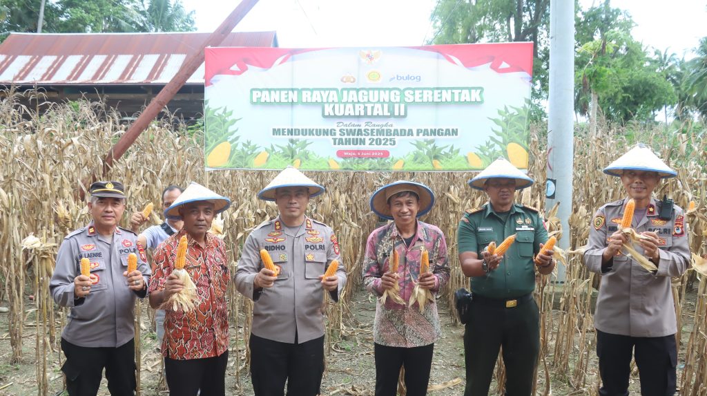 Kapolres Wajo Bersama Masyarakat Panen Raya Jagung Serentak Kuartal II