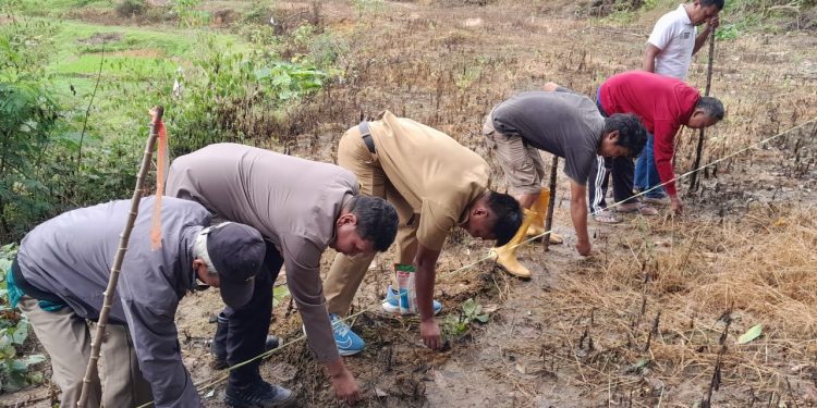 Bhabinkamtibmas Polsek Sanggalangi’ Polres Torut Bersama Instansi Terkait dan Warga Tanam Jagung