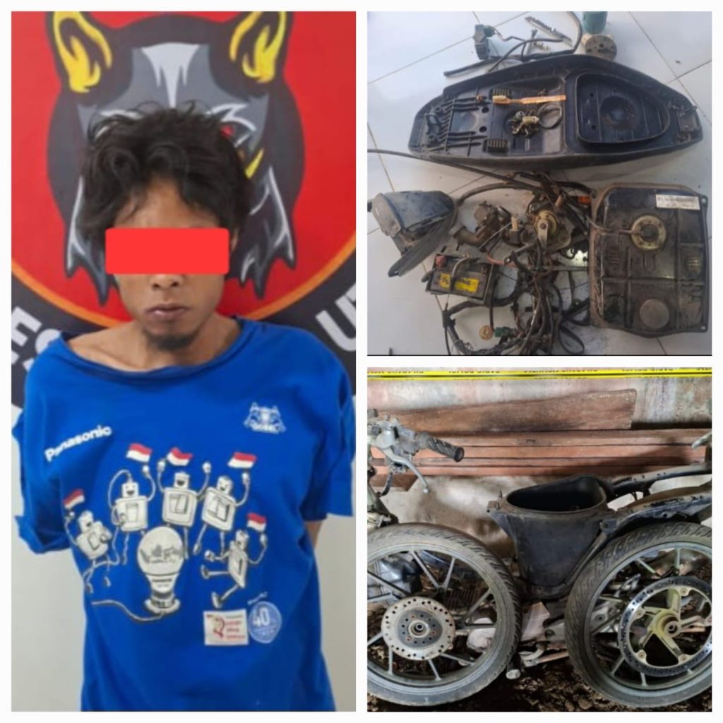 Tim Resmob Polres Toraja Utara Berhasil Amankan Warga Dende Pelaku Curanmor