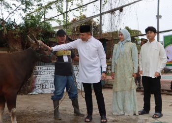 Kapolres Luwu bersama Ketua Bhayangkari Bagi Daging Kurban ke Masyarakat