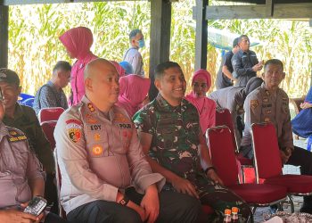Melalui Vitual, Kapolres Pinrang Hadiri Panen Jagung Serentak Kuartal II 2025 Yang Dipimpin Presiden