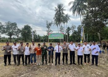 Dukung Ketahanan Pangan Nasional, Polres Luwu Utara Tanam Jagung Serentak di Desa Palandan