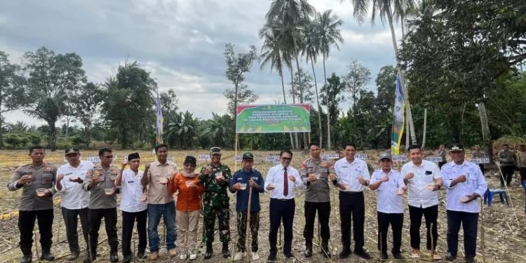 Dukung Ketahanan Pangan Nasional, Polres Luwu Utara Tanam Jagung Serentak di Desa Palandan