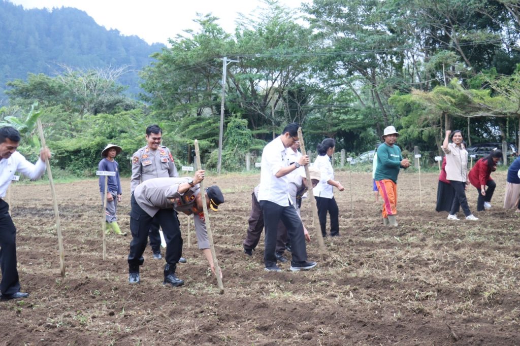 Polres Tana Toraja Gelar Penanaman Jagung Serentak Kuartal III di Pattan Ulusalu