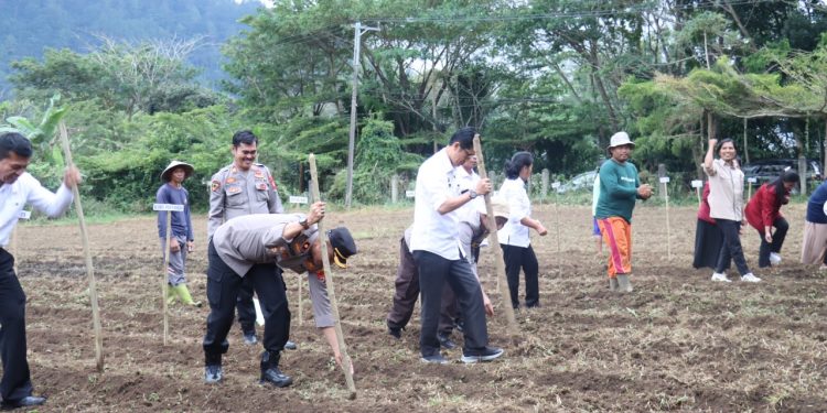 Polres Tana Toraja Gelar Penanaman Jagung Serentak Kuartal III di Pattan Ulusalu