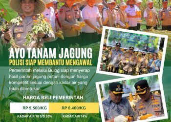 Pastikan Petani Tidak Dirugikan Oleh Tengkulak, Kapolres Maros Siap Kawal Hasil Panen di Bulog