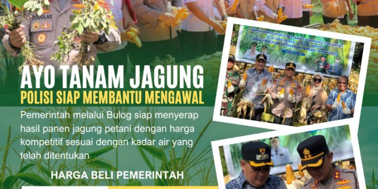 Pastikan Petani Tidak Dirugikan Oleh Tengkulak, Kapolres Maros Siap Kawal Hasil Panen di Bulog