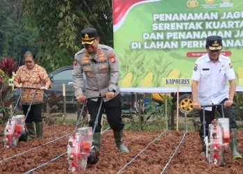Kapolres Toraja Utara Pimpin Penanaman Jagung Serentak Kuartal III