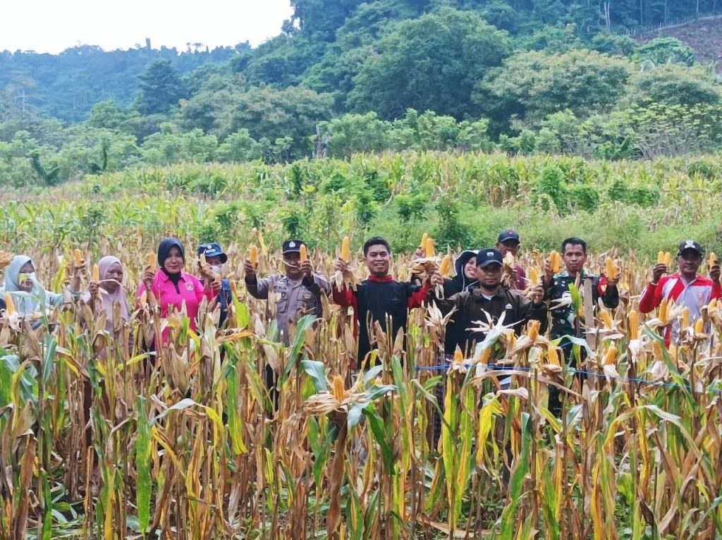Dukung Program Ketahanan Pangan, 2 Desa Binaan Polres Kepulauan Selayar Panen Raya