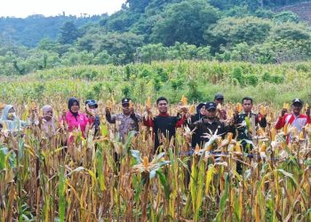 Dukung Program Ketahanan Pangan, 2 Desa Binaan Polres Kepulauan Selayar Panen Raya