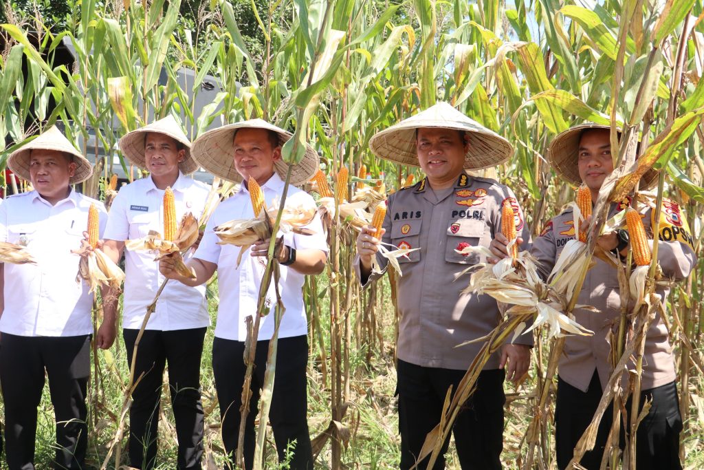 Karo SDM Polda Sulsel bersama Kapolres Maros Dampingi Tim Itwasum Polri Uji Petik Jagung di Tanralili