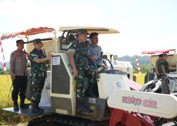 Kapolres Maros Hadiri Panen Raya Padi Yang Digelar Kogabwilhan II Mabes TNI