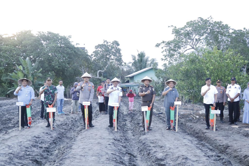 Kapolres Pinrang dan Forkopimda Tanam Jagung Serentak Kuartal III di Sipatuo