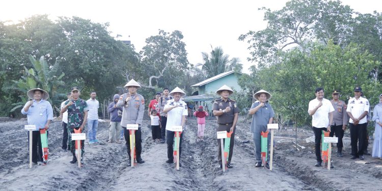 Kapolres Pinrang dan Forkopimda Tanam Jagung Serentak Kuartal III di Sipatuo