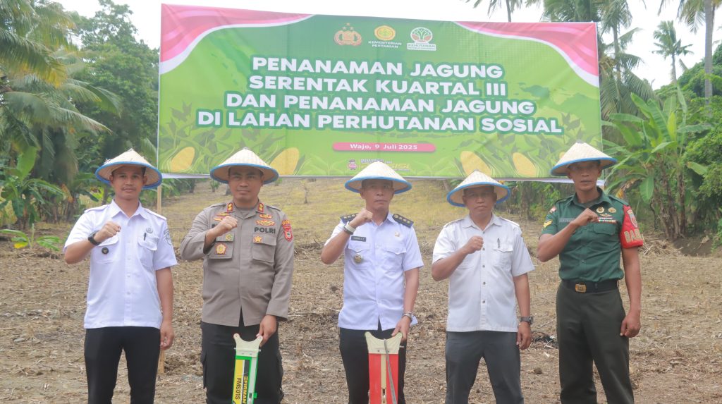 Dukung Swasembada Pangan, Kapolres Wajo Tanam Jagung di Lahan Perhutanan Sosial dan Kuartal III