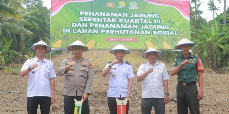 Dukung Swasembada Pangan, Kapolres Wajo Tanam Jagung di Lahan Perhutanan Sosial dan Kuartal III