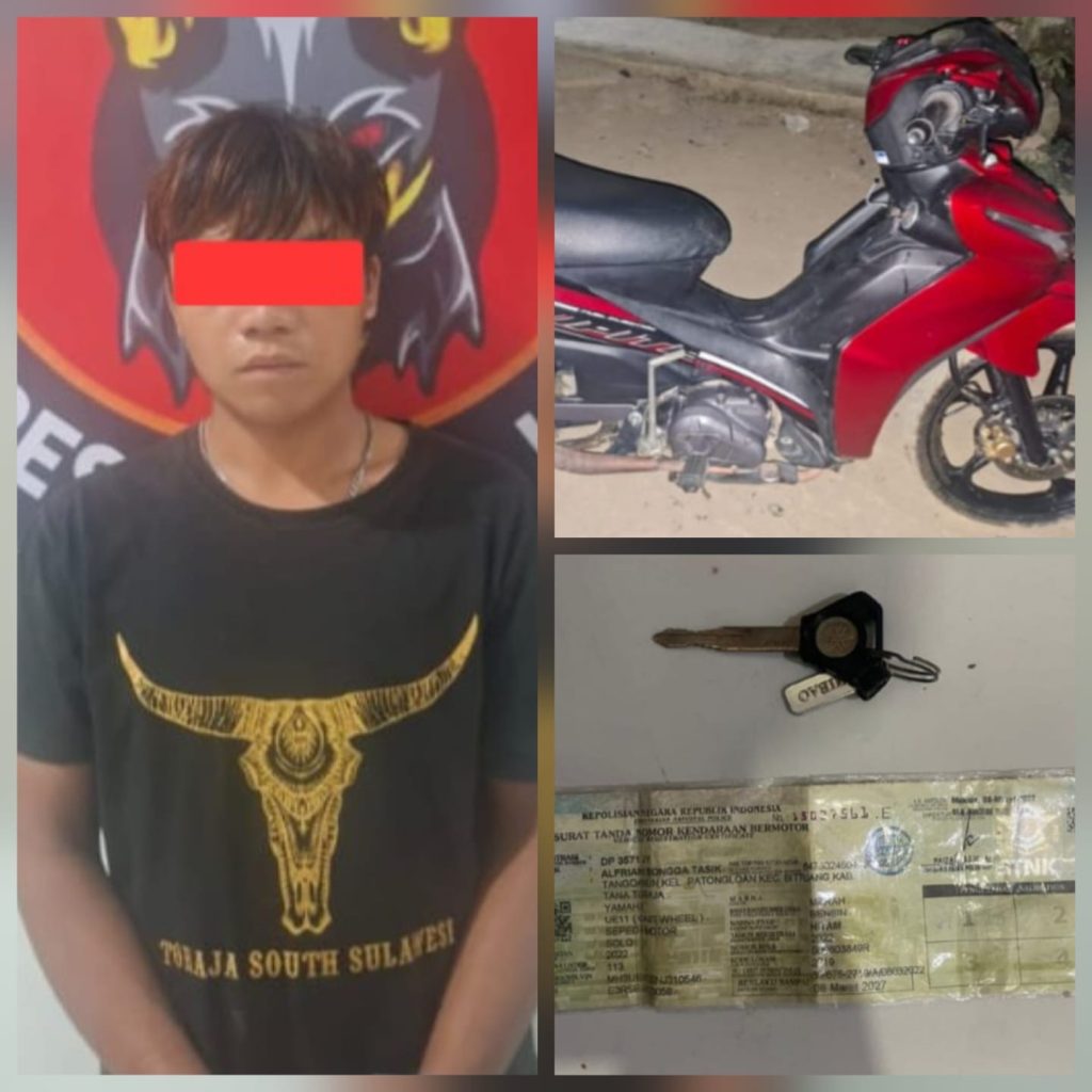 Tim Resmob Polres Toraja Utara Berhasil Amankan Pelaku Curanmor di Luwu