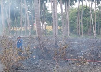 KRYD Tanggap Aduan, Polsek Bontomatene Polres Selayar Berhasil Cegah Kebakaran di Hari Kemerdekaan