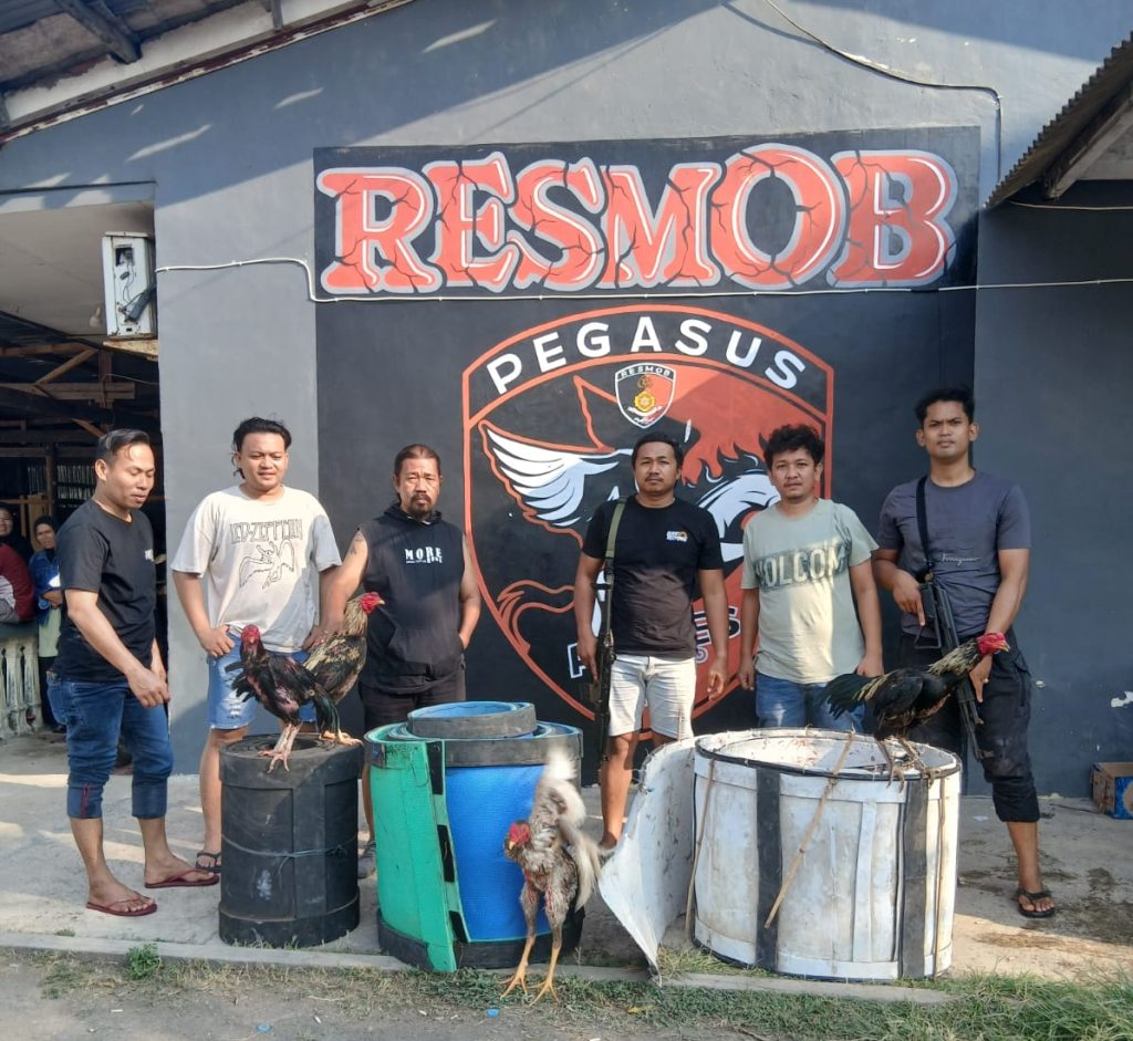 Unit Reskrim Polres Jeneponto Gerebek Lokasi Judi Sabung Ayam di Tamalatea