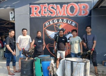 Unit Reskrim Polres Jeneponto Gerebek Lokasi Judi Sabung Ayam di Tamalatea