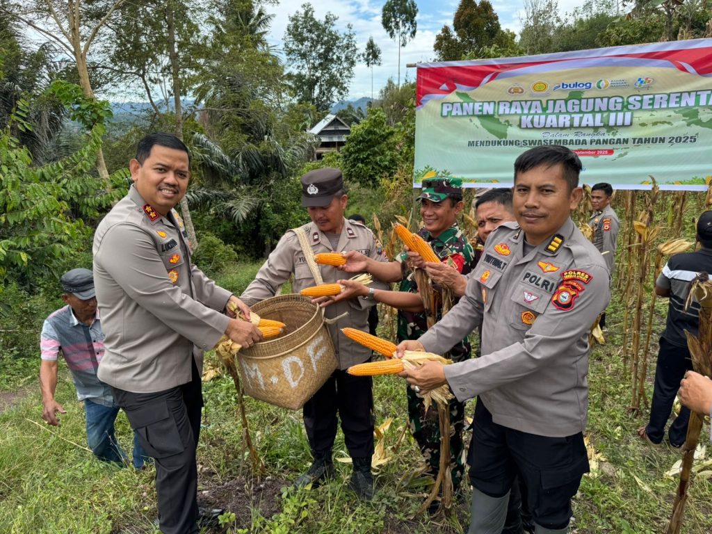Dukung Program Swasembada Pangan, Kapolres Toraja Utara Pimpin Panen Raya Jagung Serentak Kuartal III