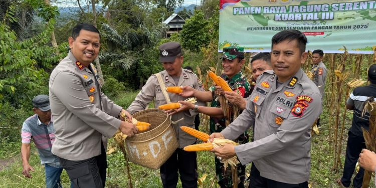 Dukung Program Swasembada Pangan, Kapolres Toraja Utara Pimpin Panen Raya Jagung Serentak Kuartal III