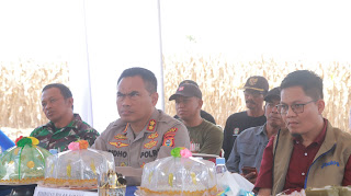 Kapolres Wajo Panen Raya Jagung Wujud Kebersamaan Untuk Dukung Swasembada Pangan