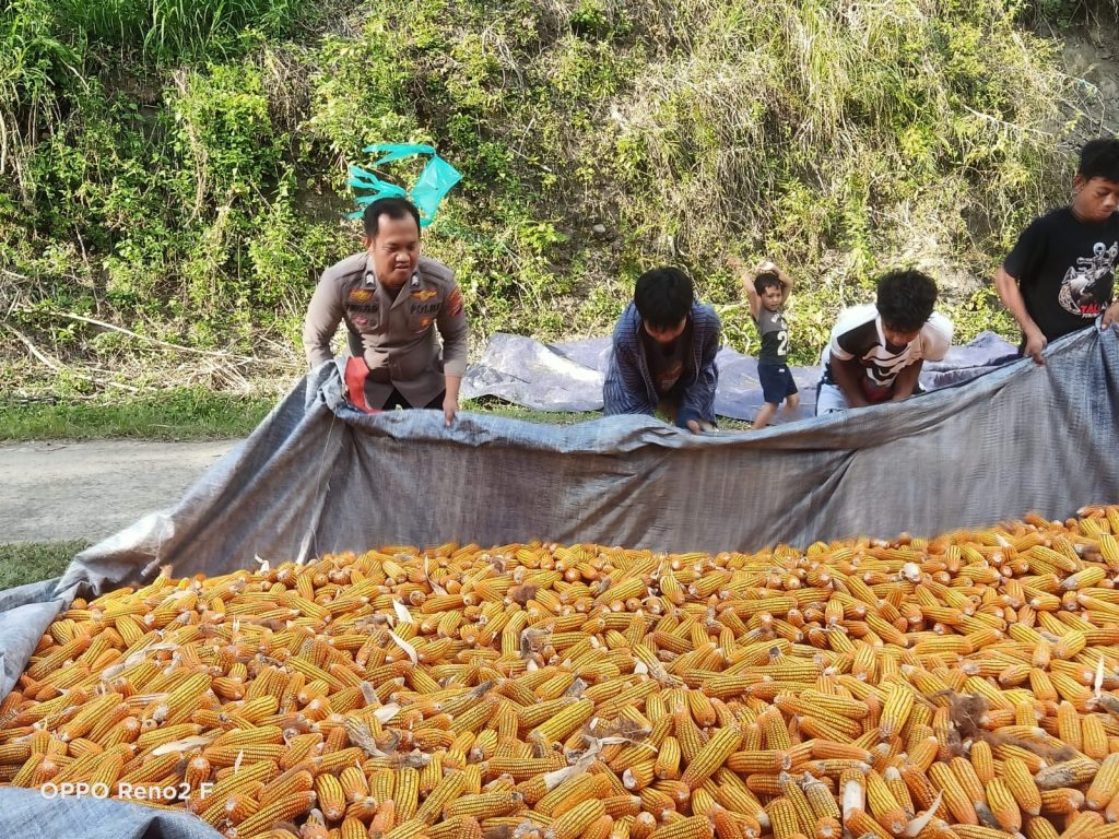 Bhabinkamtibmas Polsek Bonggakaradeng Polres Tator Intens Sambangi Warga, Ajak Manfaatkan Lahan Pekarangan