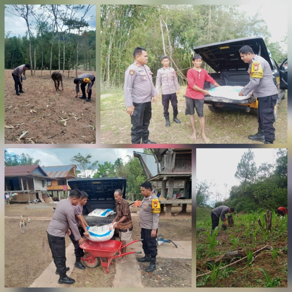Dukung Ketahanan Pangan, Polsek Sanggalangi’ Salurkan Bantuan Pupuk NPK ke Kelompok Tani