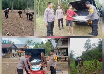 Dukung Ketahanan Pangan, Polsek Sanggalangi’ Salurkan Bantuan Pupuk NPK ke Kelompok Tani