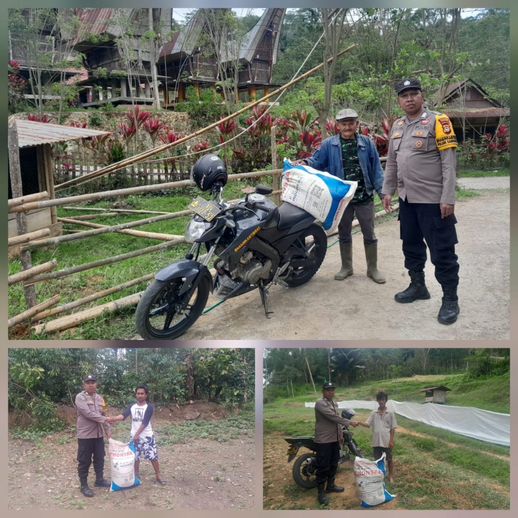 Bhabinkamtibmas Polsek Sanggalangi’ Berikan Pupuk Gratis ke Warga Binaan Dari Uang Pribadi