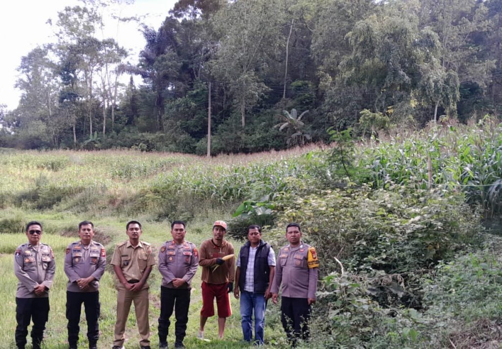 Tingkatkan Produktivitas, Kabag SDM Polres Toraja Utara Tinjau Kebun Jagung di Lembang Misa’ Ba’bana