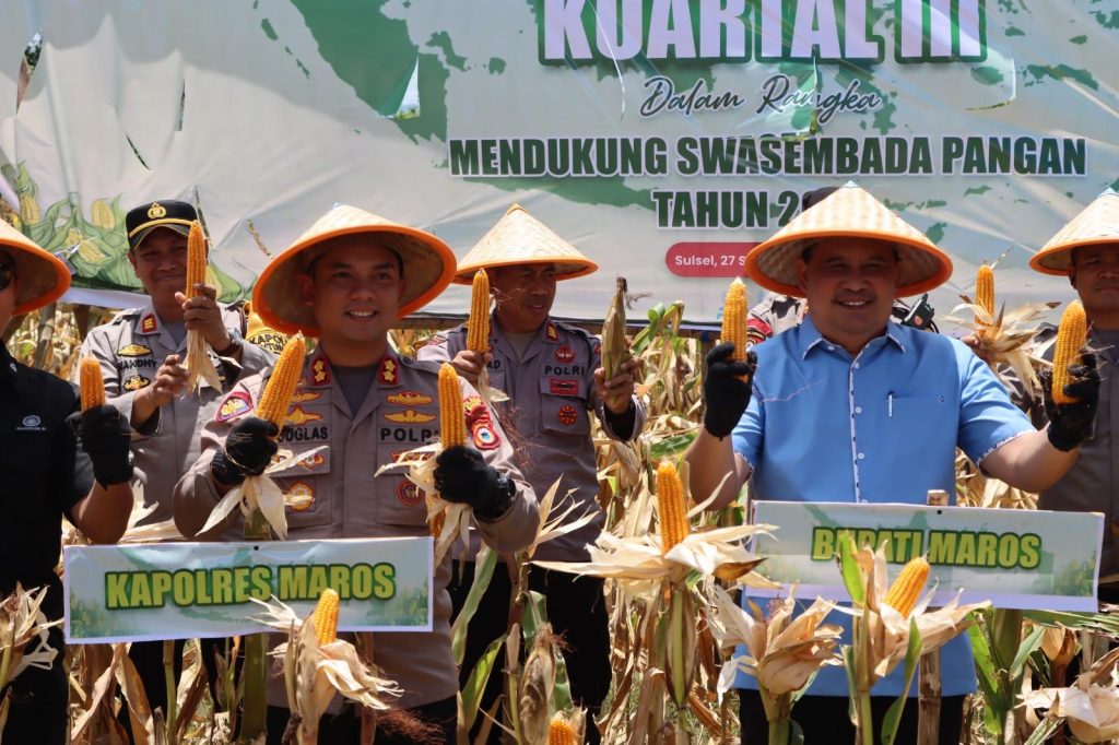 Dukung Swasembada Pangan, Kapolres Maros Pimpin Panen Raya Jagung Serentak Kuartal III