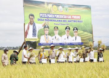 Kapolres Pinrang Hadiri Pesta Panen di Padakkalawa