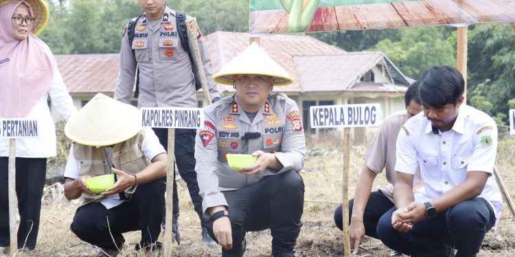 Dukung Swasembada Pangan, Kapolres Pinrang Tanam Jagung Serentak Kuartal IV 