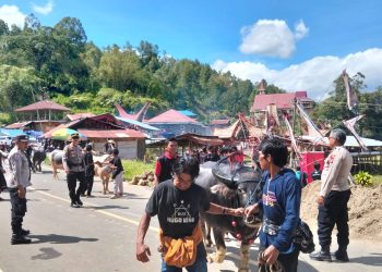 Pastikan Rangkaian Acara Berjalan Tertib dan Lancar, Personel Polres Tator Amankan Prosesi Rambu Solo