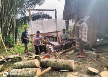 Bhabinkamtibmas Polsek Saluputti Polres Tator Gotong Royong Evakuasi Pohon Tumbang
