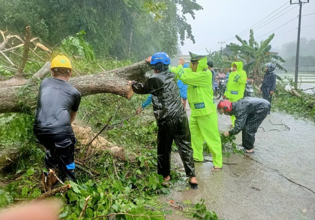 Personel Polres Barru Bersihkan Marerial Pohon Tumbang Yang Hambat Arus Lalu Lintas di 3 Titik